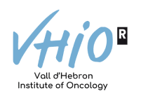 Vall d’Hebron Institute of Oncology - Colorectal cancer logo