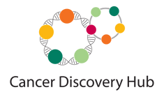 The Cancer Discovery Hub logo